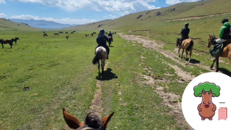 Vue des plateaux du Kirghizistan