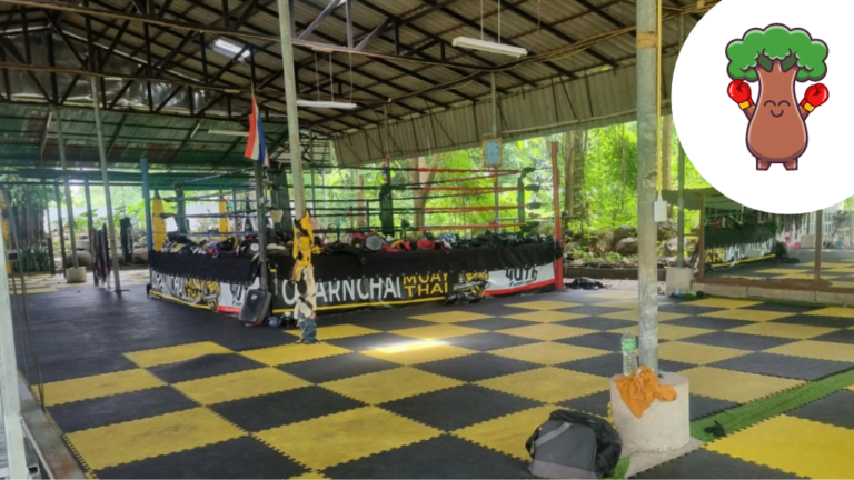 J’irai découvrir : le Muay Thaï en Thaïlande